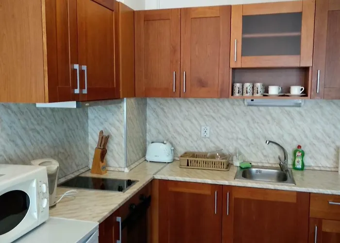 Pine Tree 3 - B3 Bansko