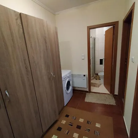 Apartment Pine Tree 3 - B3 Bansko