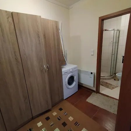 Apartment Pine Tree 3 - B3 Bansko