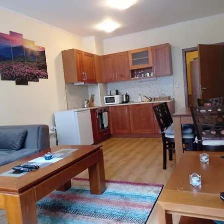 Pine Tree 3 - B3 * Bansko