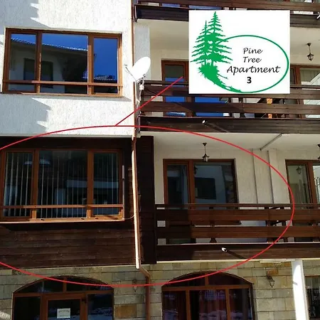 شقة Pine Tree 3 - B3