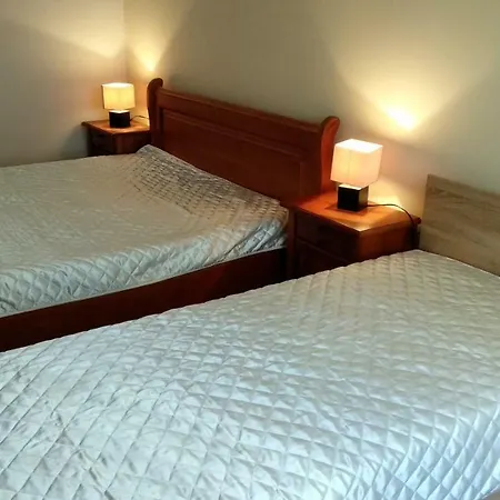 Apartment Pine Tree 3 - B3 Bansko