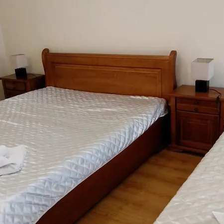 Pine Tree 3 - B3 דירה