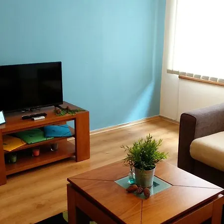 Apartment Pine Tree 3 - B3